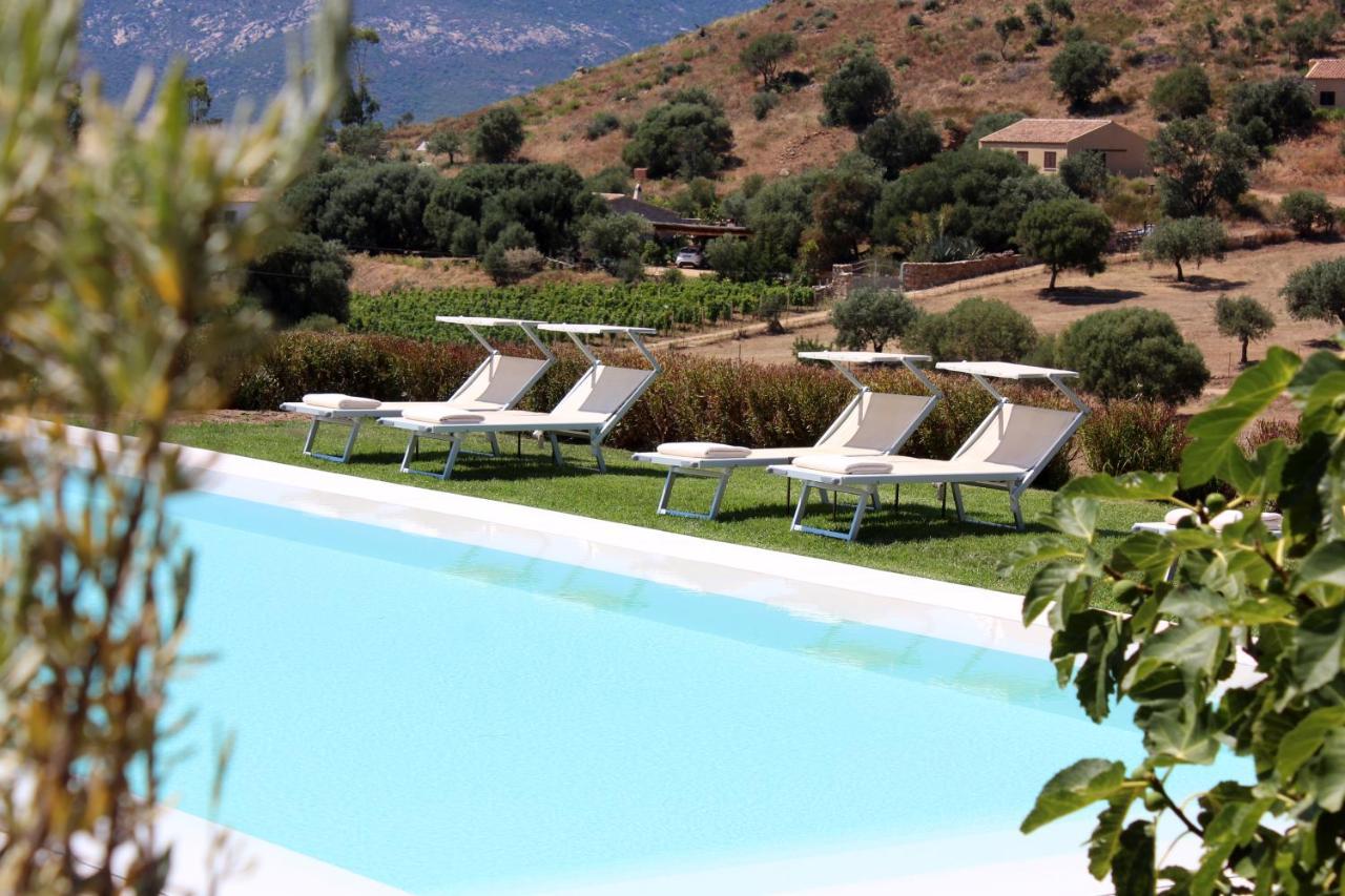 Albero Capovolto Bed & Breakfast Golfo Aranci Exterior photo