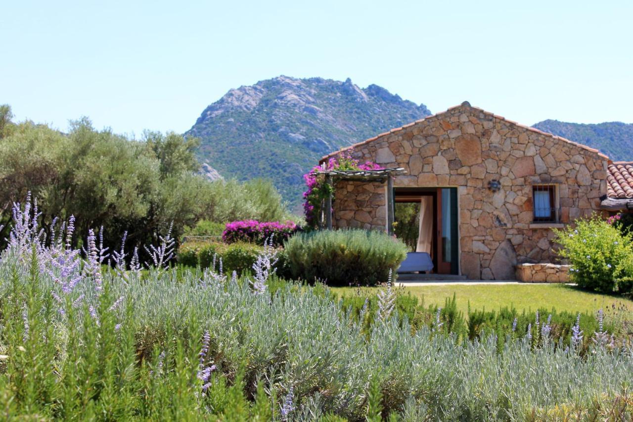Albero Capovolto Bed & Breakfast Golfo Aranci Exterior photo